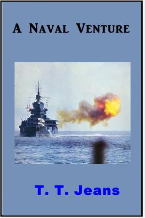 Cover of the book A Naval Venture by Charles A. Eastman