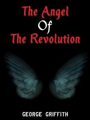 Book cover of The Angel Of The Revolution
