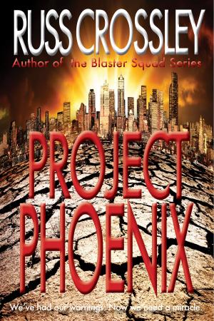 Cover of the book Project Phoenix by Christopher Padgett