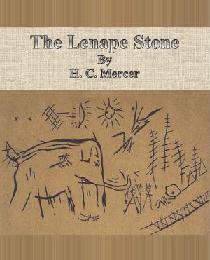 bigCover of the book The Lenape Stone by 