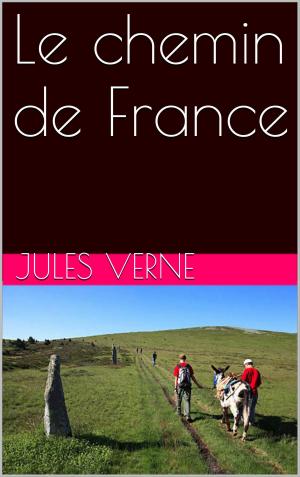 Cover of the book Le chemin de France by Anna de Noailles