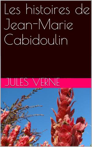Cover of the book Les histoires de Jean-Marie Cabidoulin by Pierre Tamizey de LARROQUE