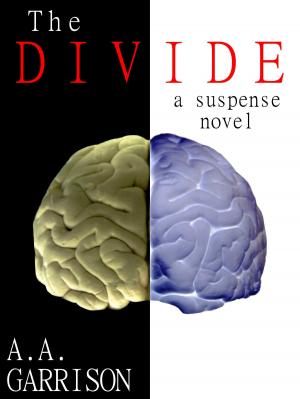 bigCover of the book The Divide by 