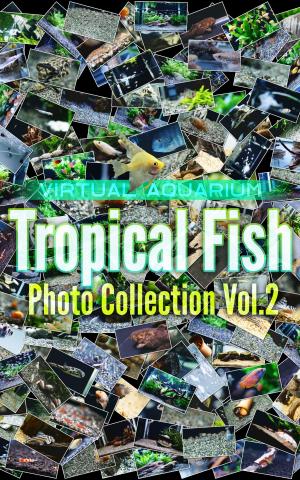 Book cover of Tropical Fish Photo Collection Vol.2