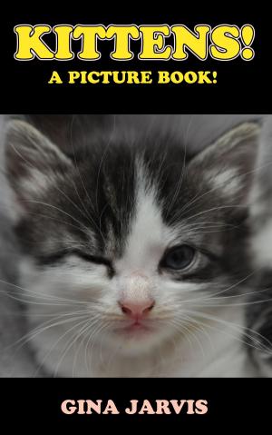 Book cover of Kittens!