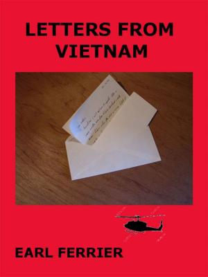 Cover of the book Letters From Vietnam by Donald J. Bingle