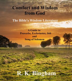 Book cover of Comfort and Wisdom from God
