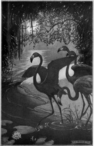 Cover of the book South American Jungle Tales by Harold Edward Bindloss