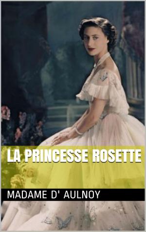 Cover of the book La Princesse Rosette by Paul D'Ivoi, Henri Chabrillat