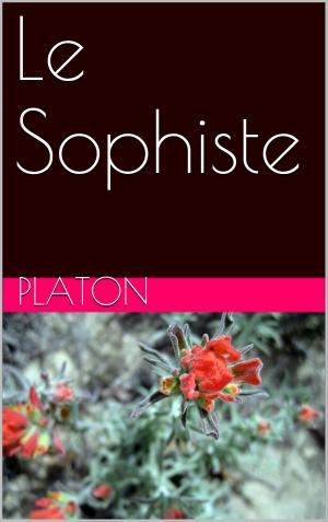 Cover of the book Le Sophiste by Guy De Pourtalès