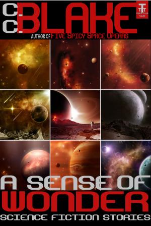 Cover of the book A Sense of Wonder by C. C. Blake, Daniel R. Robichaud