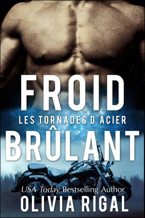 Book cover of Froid Brûlant