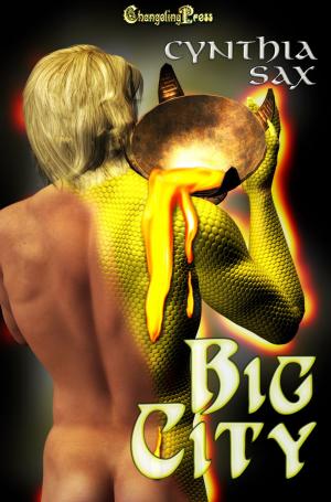 Cover of the book Big City by Treva Harte