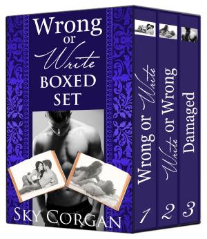 Cover of the book Wrong or Write: Boxed Set by Evie Snow