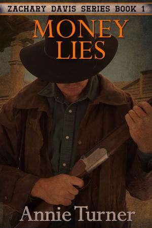 bigCover of the book Money Lies by 