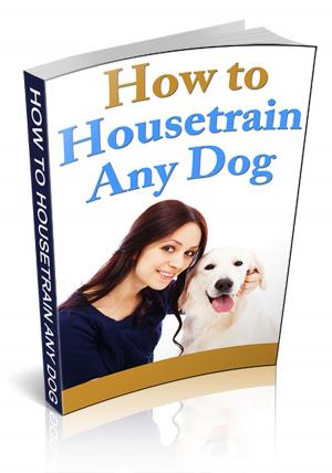 bigCover of the book How To Housetrain Any Dog by 