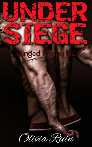 Cover of the book Under Siege by Joyce A. Brown