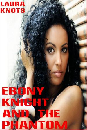 Book cover of Ebony Knight and the Phantom