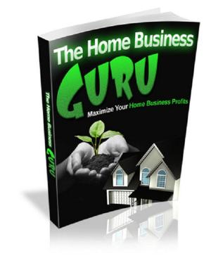 Cover of the book The Home Business Guru by Andrew Lang