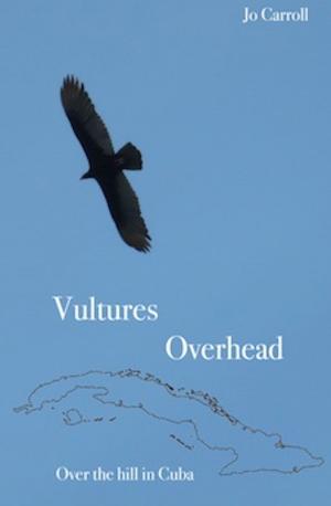 Book cover of Vultures Overhead