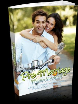 bigCover of the book Pre-Marriage Maintenance by 