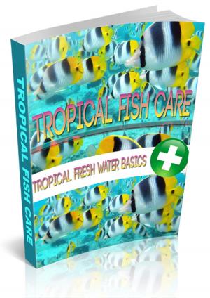 Cover of the book Tropical Fish Care by Liz Tomey