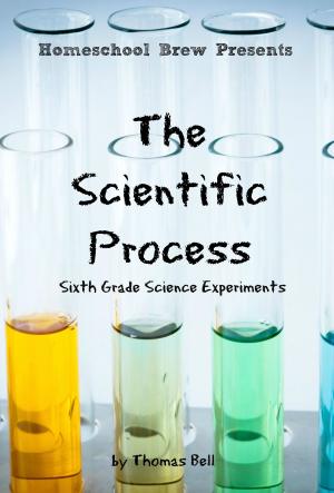 Cover of the book The Scientific Process by Terri Raymond