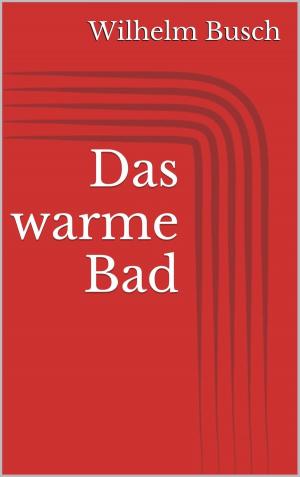Cover of the book Das warme Bad by Theodor Fontane