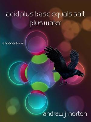 bigCover of the book Acid plus Base equals Salt plus Water by 