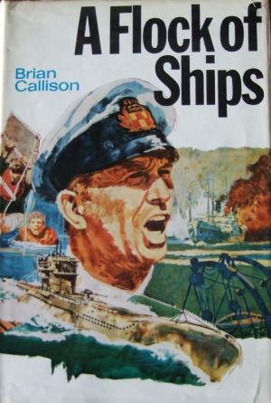 Cover of the book A FLOCK OF SHIPS by Michael E. Cook