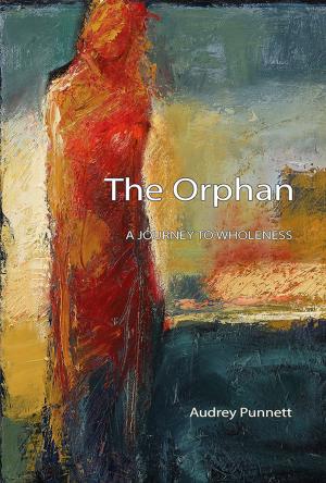 Cover of the book The Orphan by Kirk Mahoney, Ph.D.