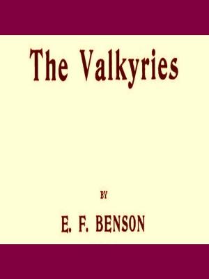 Cover of the book The Valkyries by William H. Dooley