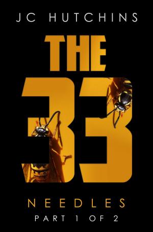 Book cover of The 33, Episode 5: Needles [Part 1 of 2]