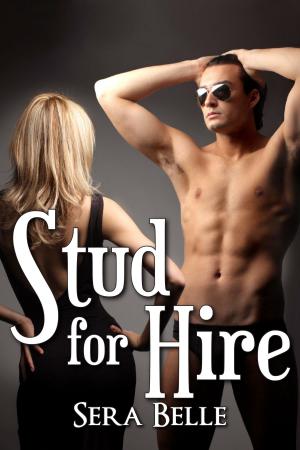 Cover of the book Stud for Hire by Sera Mays