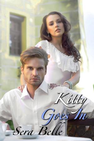 Book cover of Kitty Goes In