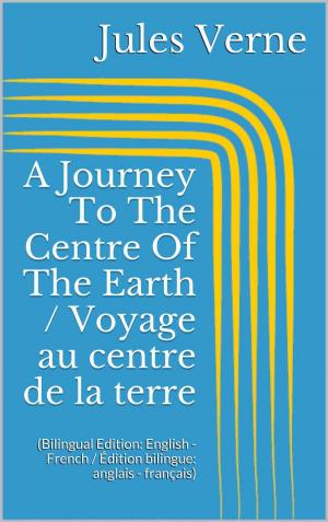 Book cover of A Journey To The Centre Of The Earth / Voyage au centre de la terre
