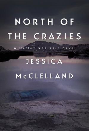 Cover of the book North of the Crazies by Bruce A. Borders
