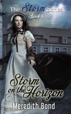 bigCover of the book Storm on the Horizon by 
