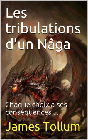 Cover of the book Les tribulations d'un Nâga by Paul Fox