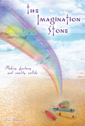 Cover of the book The Imagination Stone by Allison McKay
