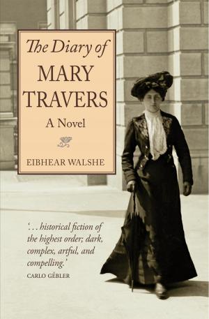 Cover of the book The Diary of Mary Travers by Jerri Hines