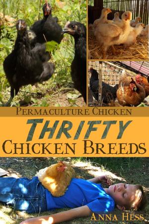 Cover of the book Thrifty Chicken Breeds by Robert Litt, Hannah Litt