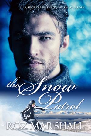 Book cover of The Snow Patrol
