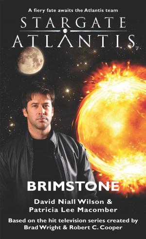Book cover of Stargate SGA-15: Brimstone