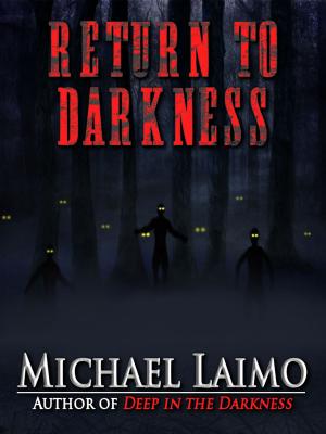 Cover of the book Return to Darkness by James Bradberry