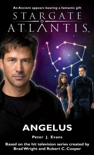 Cover of the book Stargate SGA-11: Angelus by David J. Schow