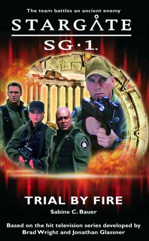 Cover of the book Stargate SG1-01: Trial By Fire by Deborah Morgan