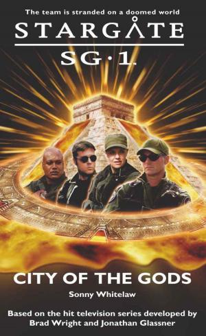 Cover of the book Stargate SG1-04: City of the Gods by Dave Pedneau