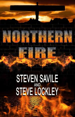 Cover of the book Northern Fire by Eric Shapiro
