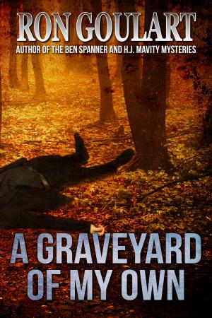 bigCover of the book A Graveyard of My Own by 